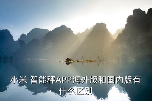 小米 智能秤app海外版和国内版有什么区别