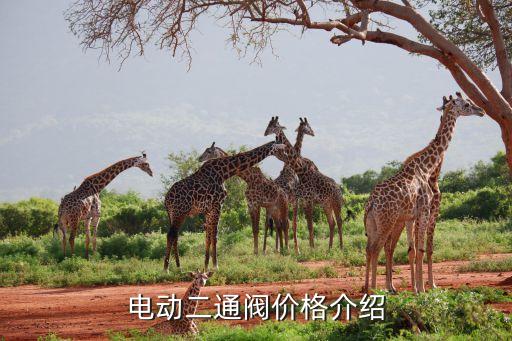 电动二通阀价格介绍