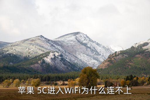 苹果 5c进入wifi为什么连不上