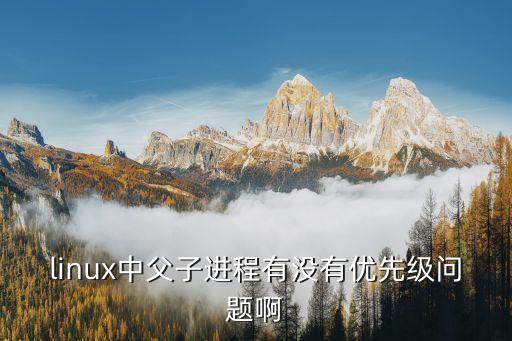 linux中父子进程有没有优先级问题啊