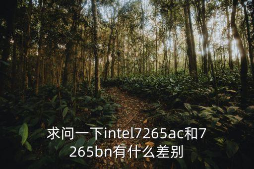 求问一下intel7265ac和7265bn有什么差别