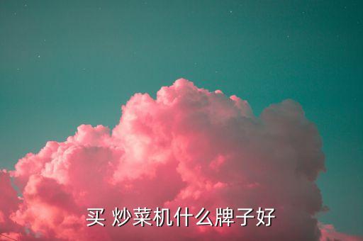 买 炒菜机什么牌子好