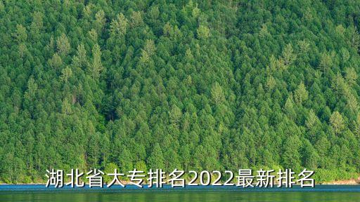 湖北省大专排名2022最新排名