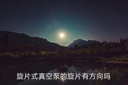 旋片真空泵,什么牌子的旋片真空泵最好?