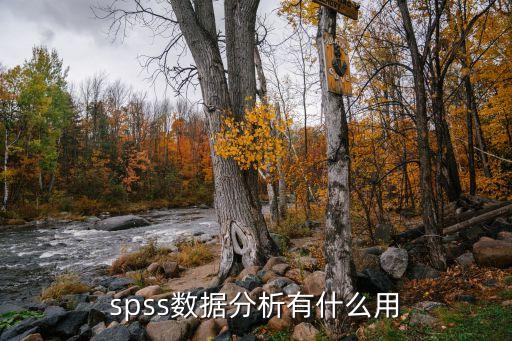 spss数据分析有什么用