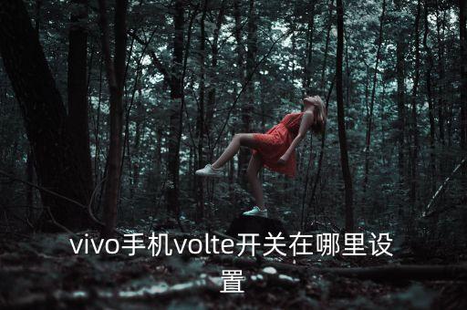 vivo手机volte开关在哪里设置