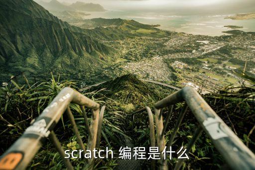 scratch 编程是什么