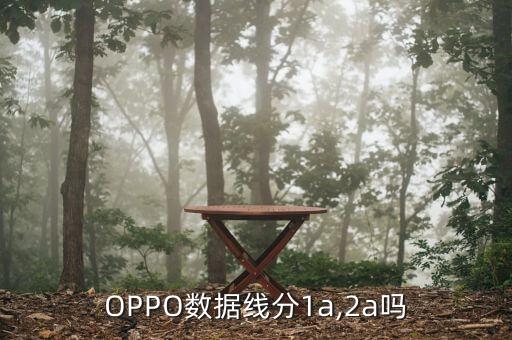 oppo数据线分1a,2a吗