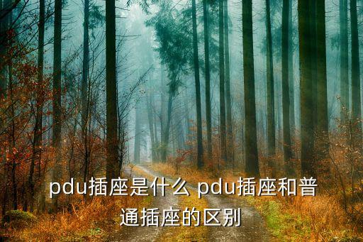 pdu 数据中心,数据中心pdu是什么意思