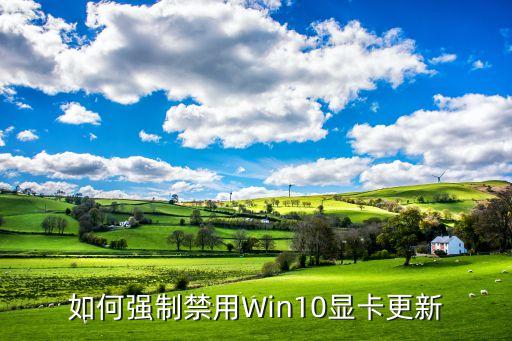 如何强制禁用win10显卡更新