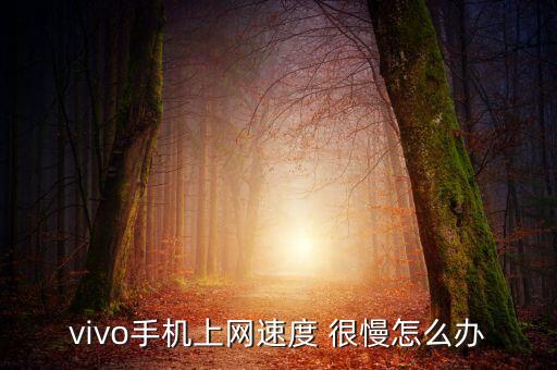 vivo手机上网速度 很慢怎么办