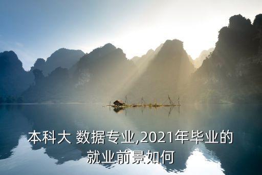 本科大 数据专业,2021年毕业的就业前景如何