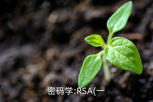 密码学:rsa(一