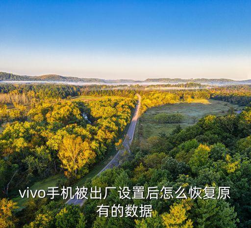 vivo手机被出厂设置后怎么恢复原有的数据