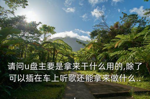 请问u盘主要是拿来干什么用的,除了可以插在车上听歌还能拿来做什么...