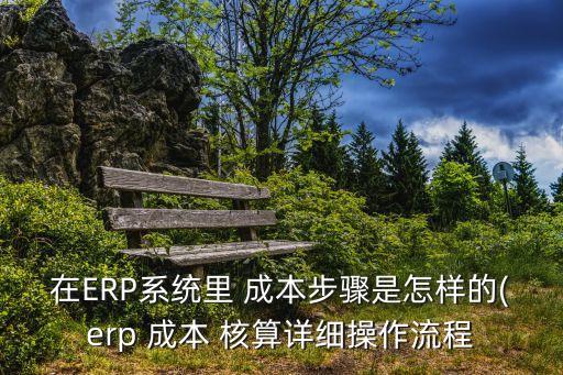 在erp系统里 成本步骤是怎样的(erp 成本 核算详细操作流程