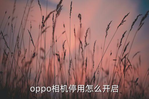 oppo相机停用怎么开启