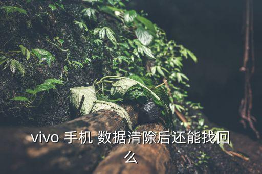 vivo 手机 数据清除后还能找回么