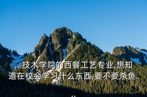 ...技术学院的西餐工艺专业,想知道在校会学习什么东西,要不要杀鱼...