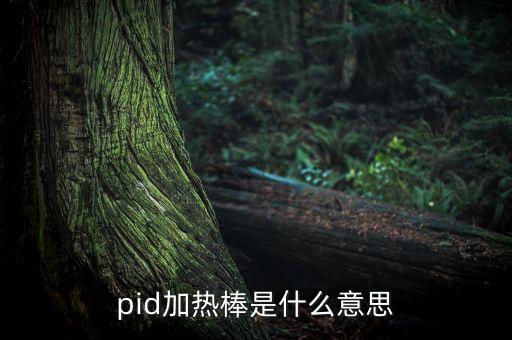 pid加热棒是什么意思