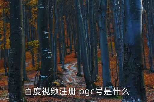 pgc是什么,pgc是什么意思啊