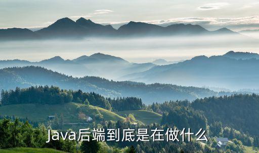 java后端到底是在做什么