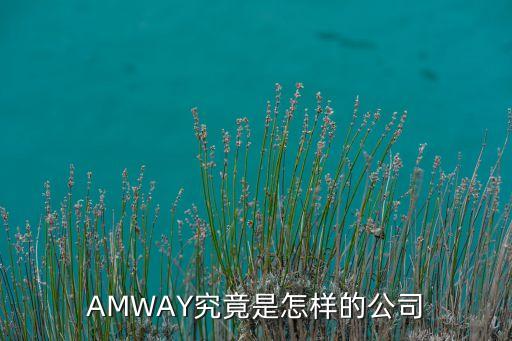 amway究竟是怎样的公司