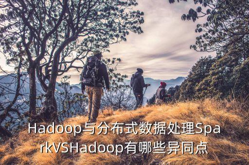 hadoop与分布式数据处理sparkvshadoop有哪些异同点