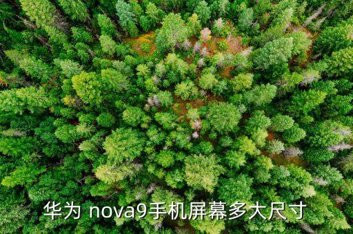 华为 nova9手机屏幕多大尺寸