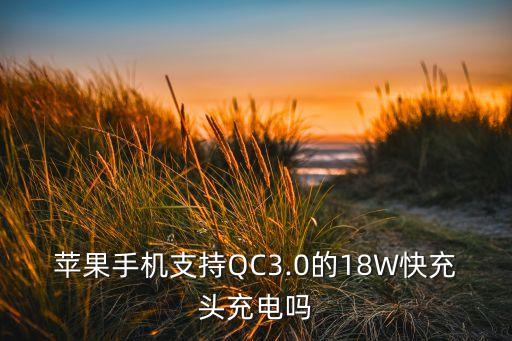 苹果手机支持qc3.0的18w快充头充电吗