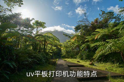 uv平板打印机功能特点