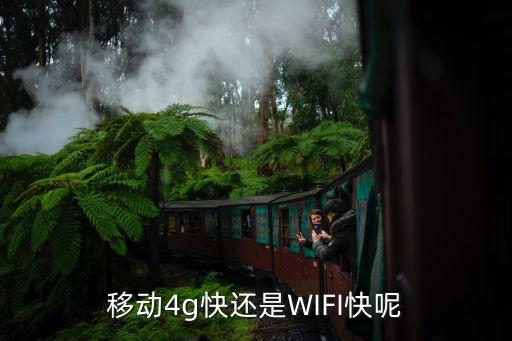 移动4g快还是wifi快呢