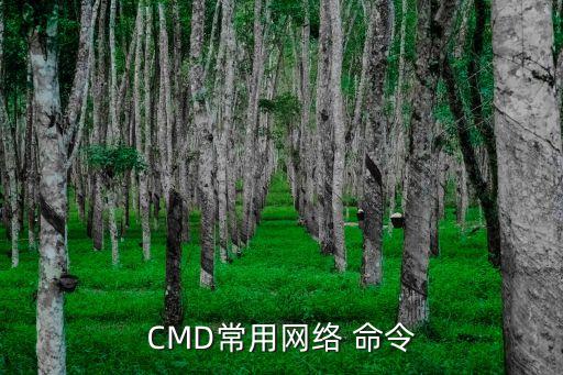 cmd常用网络 命令