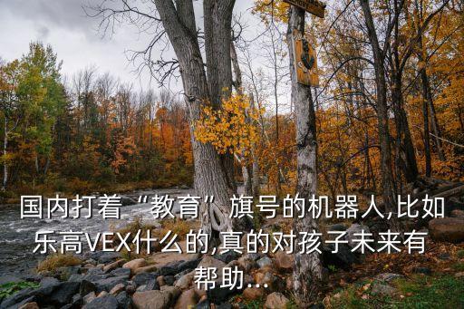 国内打着“教育”旗号的机器人,比如乐高vex什么的,真的对孩子未来有帮助...