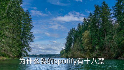 spotify用户年龄数据,spotify新用户免费多少天