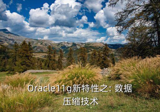 oracle11g新特性之: 数据 压缩技术