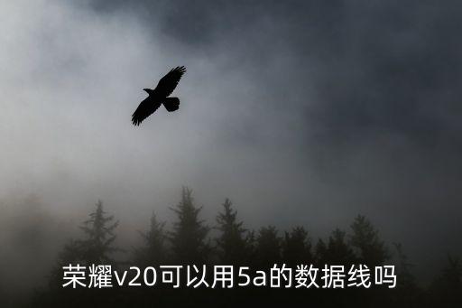 5a数据线 推荐,数据线买6a好还是5a好根据需求定夺