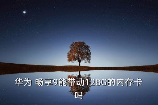 华为 畅享9能带动128g的内存卡吗