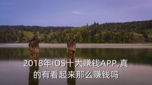 2018年ios十大赚钱app,真的有看起来那么赚钱吗