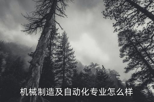 机械制造及自动化专业怎么样