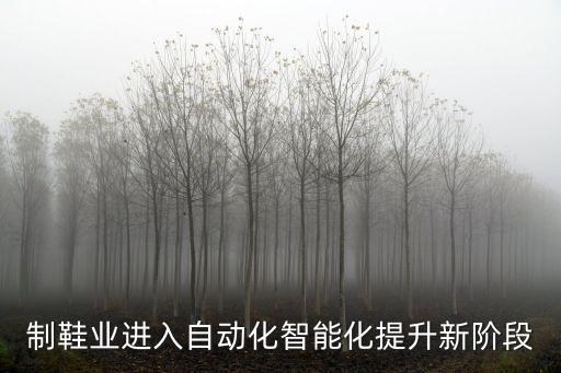 制鞋业进入自动化智能化提升新阶段