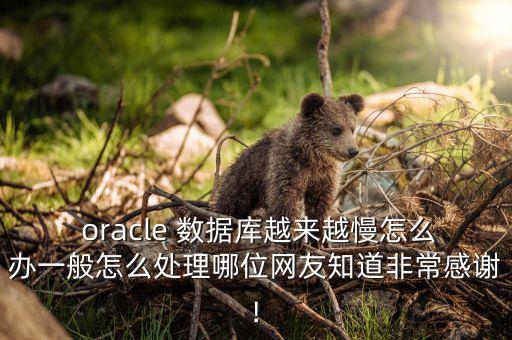  oracle 数据库越来越慢怎么办一般怎么处理哪位网友知道非常感谢!