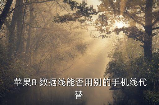 苹果8数据线一样吗,苹果数据线怎么连接电脑