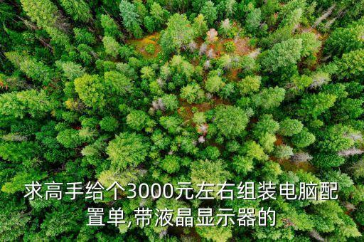 求高手给个3000元左右组装电脑配置单,带液晶显示器的