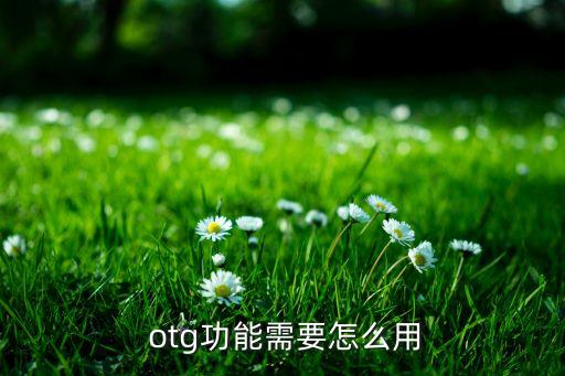  otg功能需要怎么用