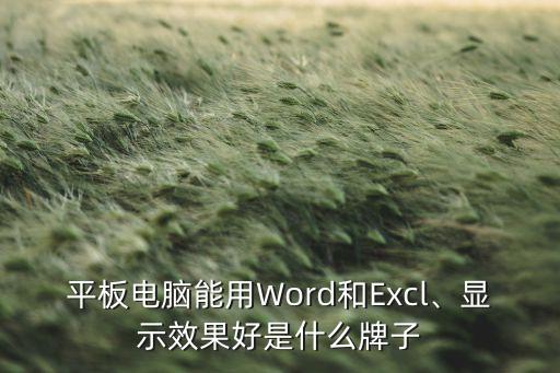 平板电脑能用word和excl、显示效果好是什么牌子