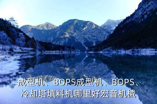 成型机、bops成型机、bops、冷却塔填料机哪里好宏音机械