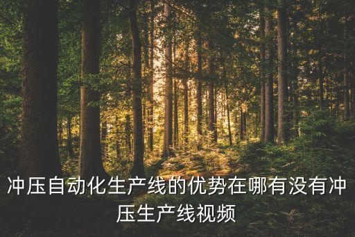 冲压自动化生产线的优势在哪有没有冲压生产线视频