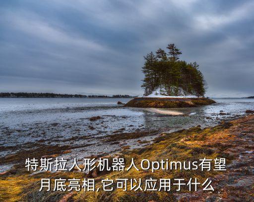 特斯拉人形机器人optimus有望月底亮相,它可以应用于什么