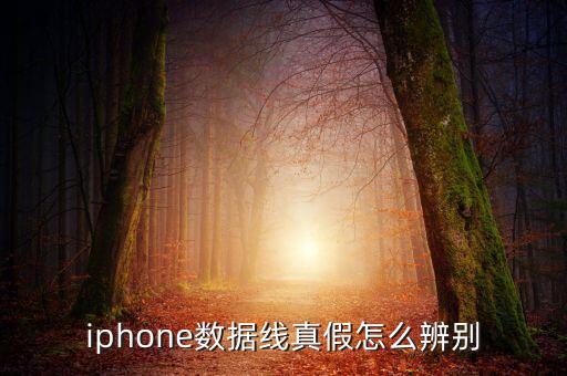 iphone数据线真假怎么辨别